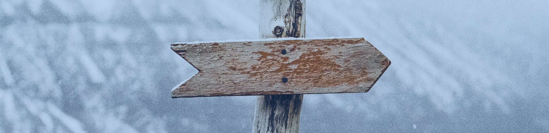 Direzione qualità: scegli la tua specializzazione