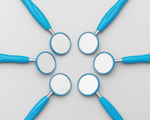 Organizzazione del Team